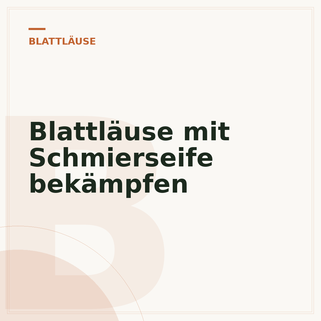 Blattläuse mit Schmierseife bekämpfen