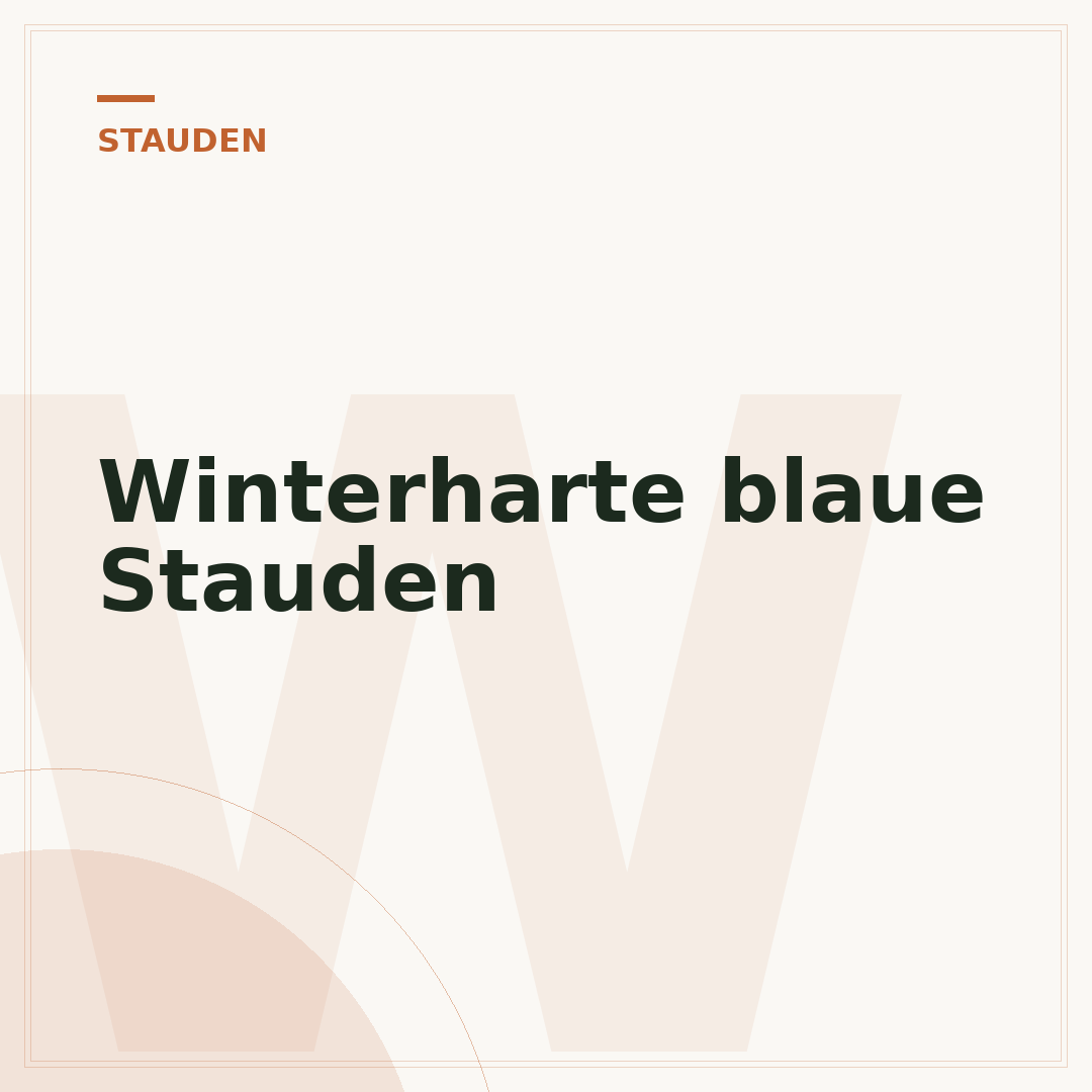 Winterharte blaue Stauden