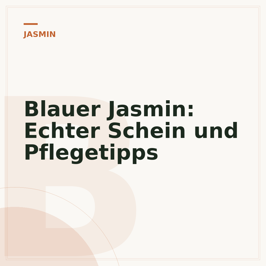Blauer Jasmin: Echter Schein und Pflegetipps