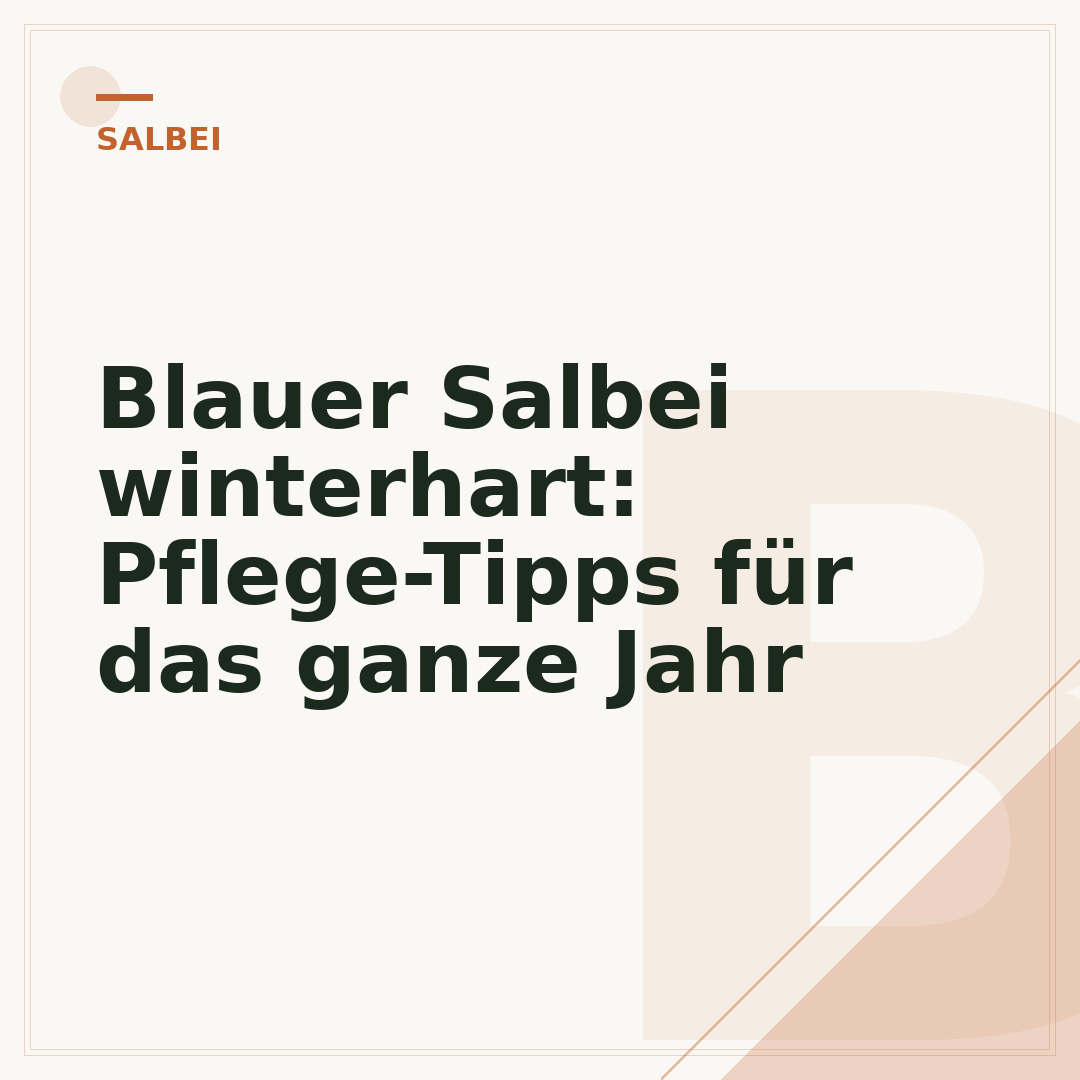 Blauer Salbei winterhart: Pflege-Tipps für das ganze Jahr
