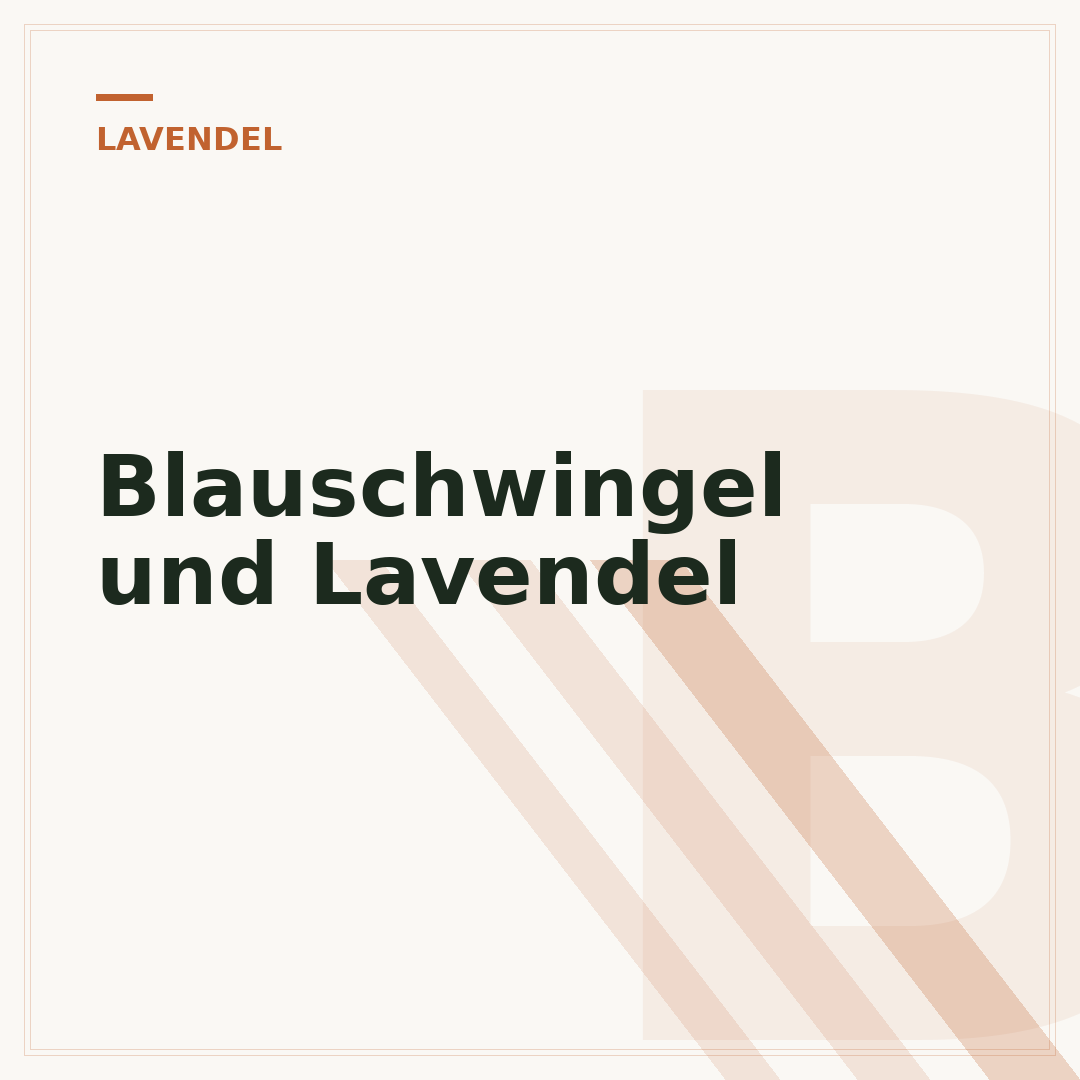 Blauschwingel und Lavendel
