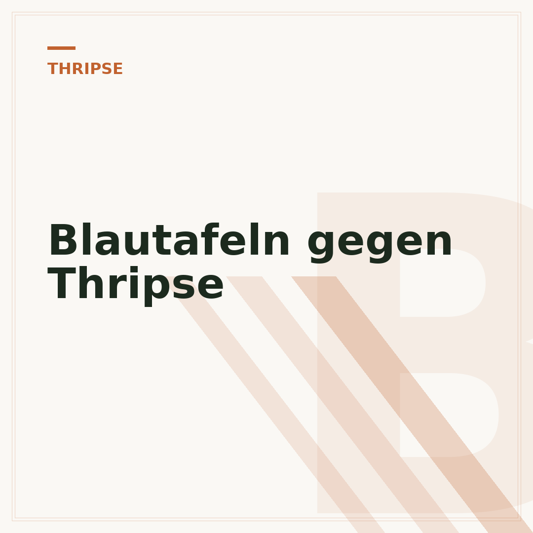 Blautafeln gegen Thripse