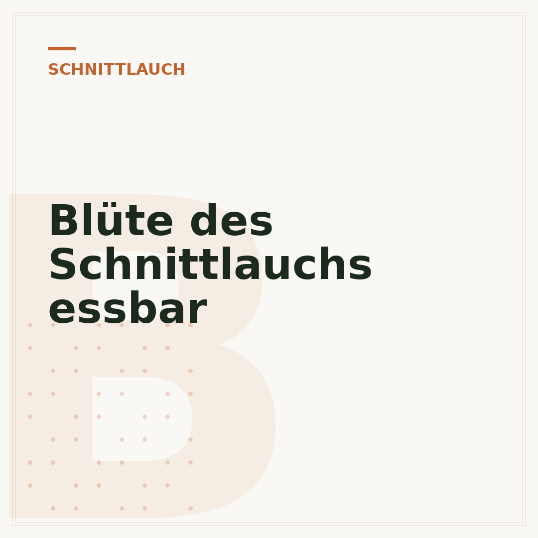 Blüte des Schnittlauchs essbar
