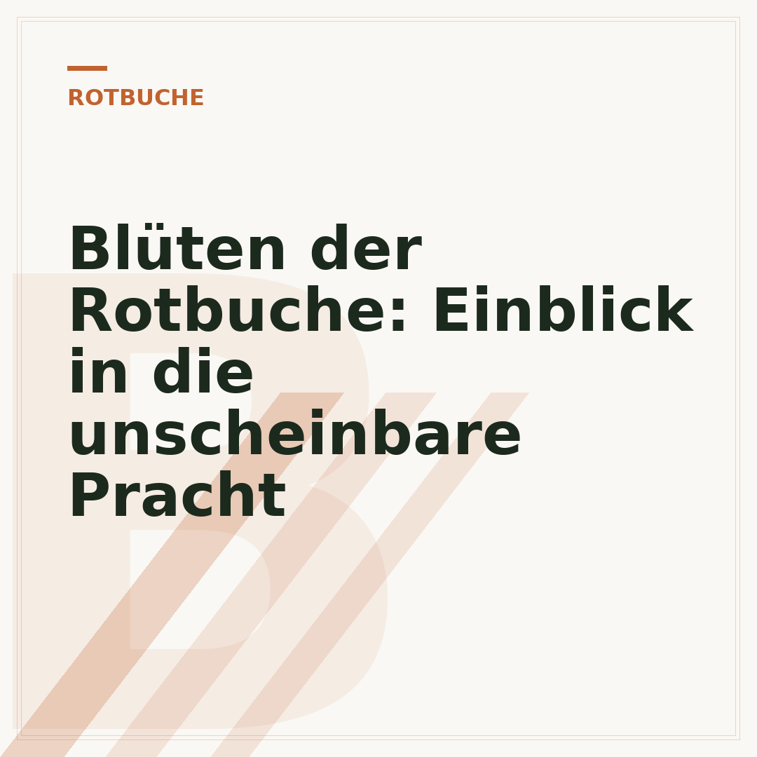 Blüten der Rotbuche: Einblick in die unscheinbare Pracht