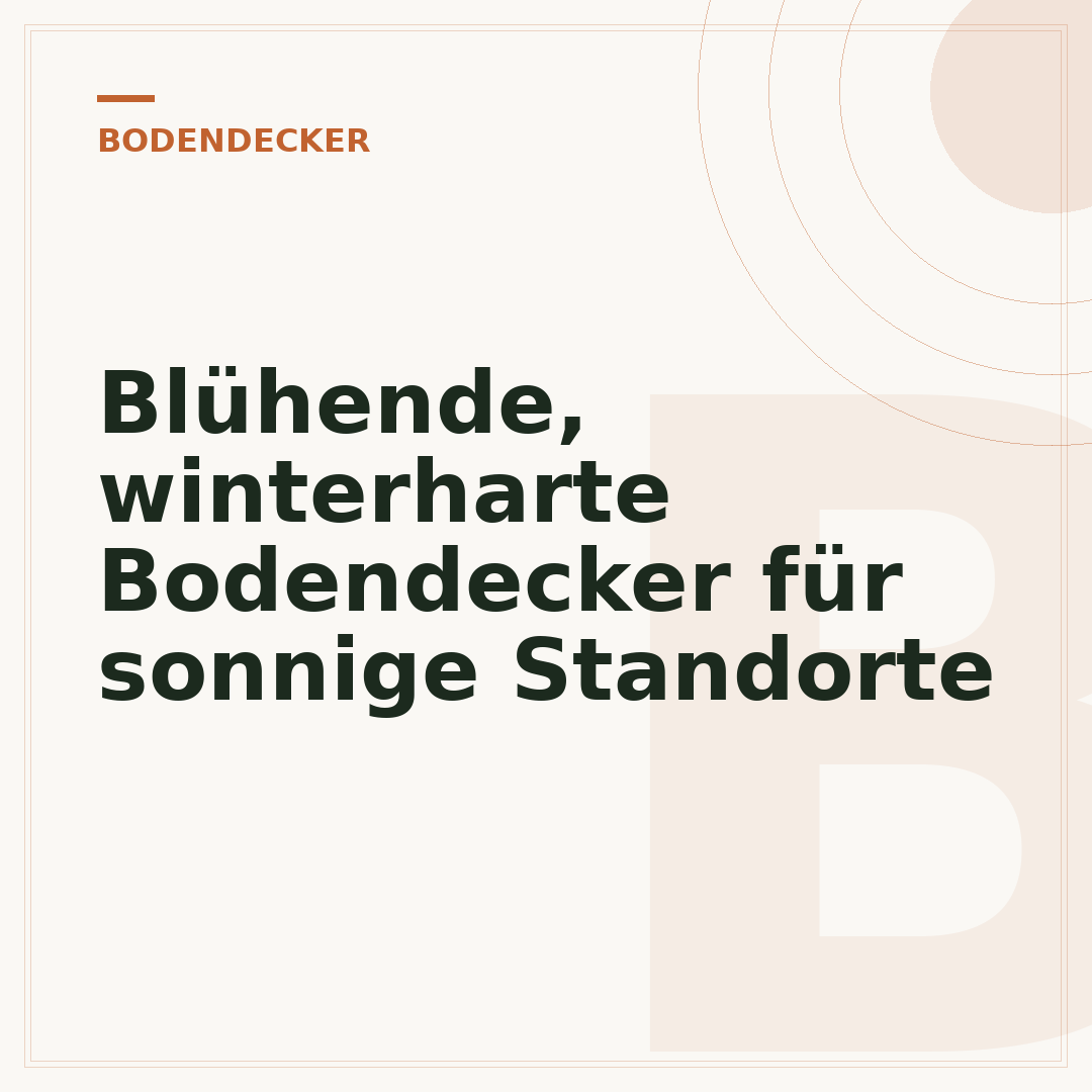Blühende, winterharte Bodendecker für sonnige Standorte