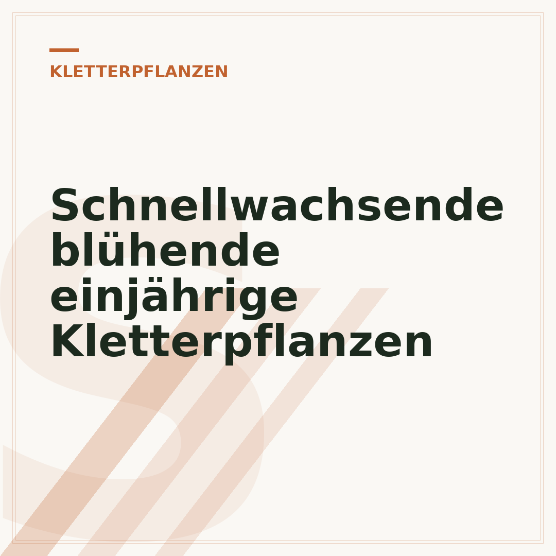 Schnellwachsende blühende einjährige Kletterpflanzen