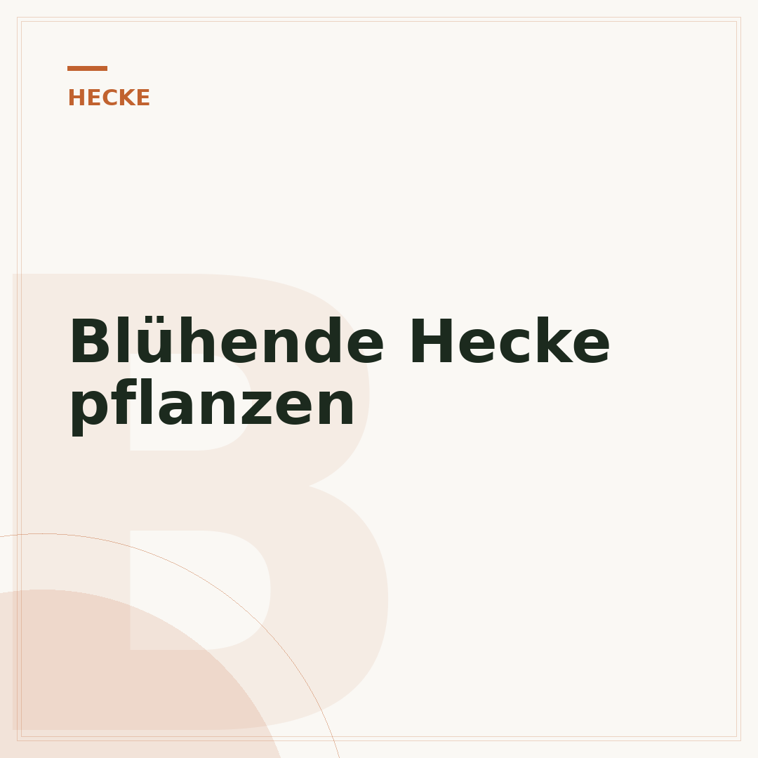 Blühende Hecke pflanzen