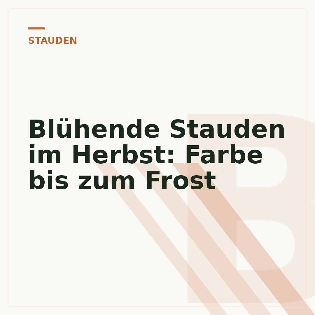 Blühende Stauden im Herbst: Farbe bis zum Frost