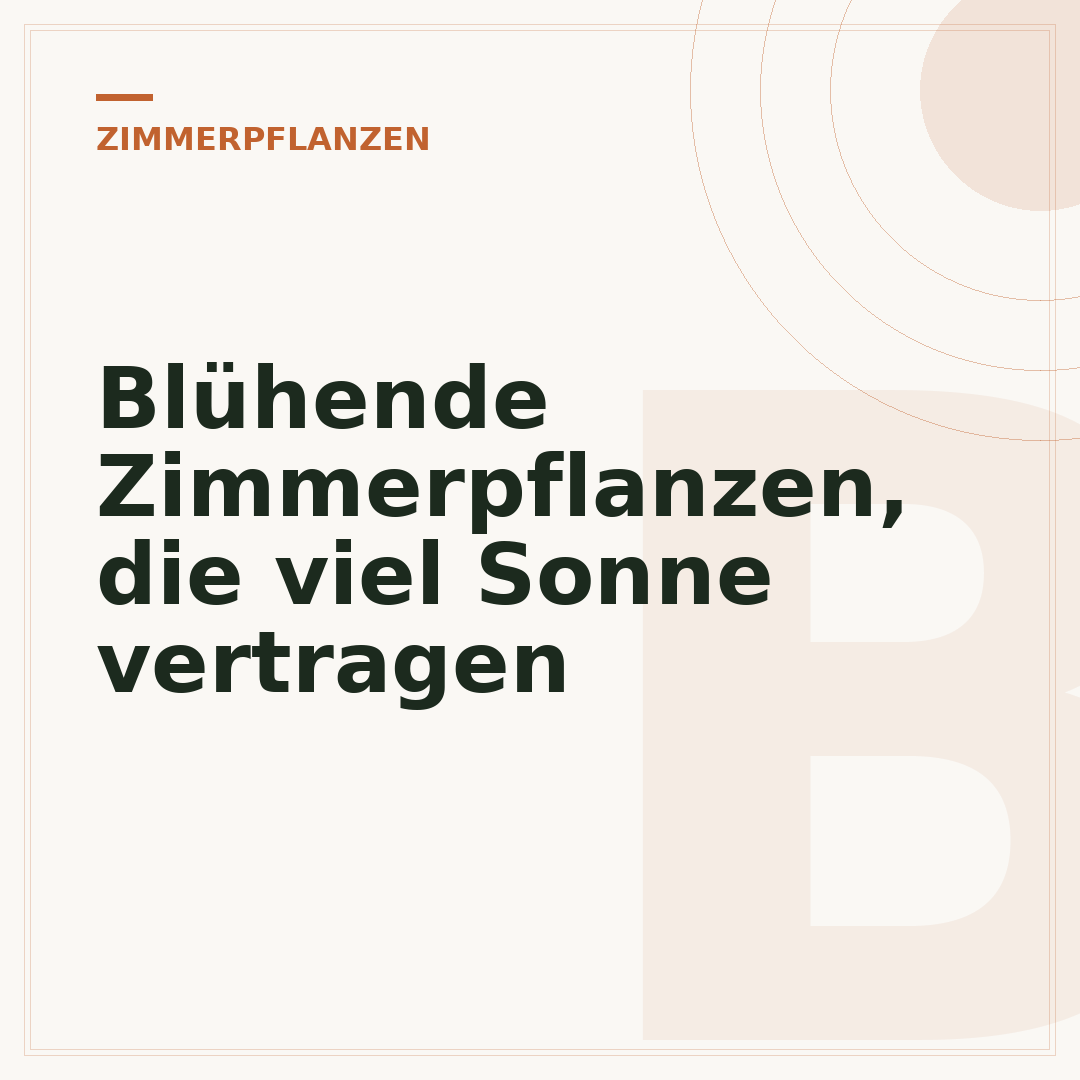 Blühende Zimmerpflanzen, die viel Sonne vertragen