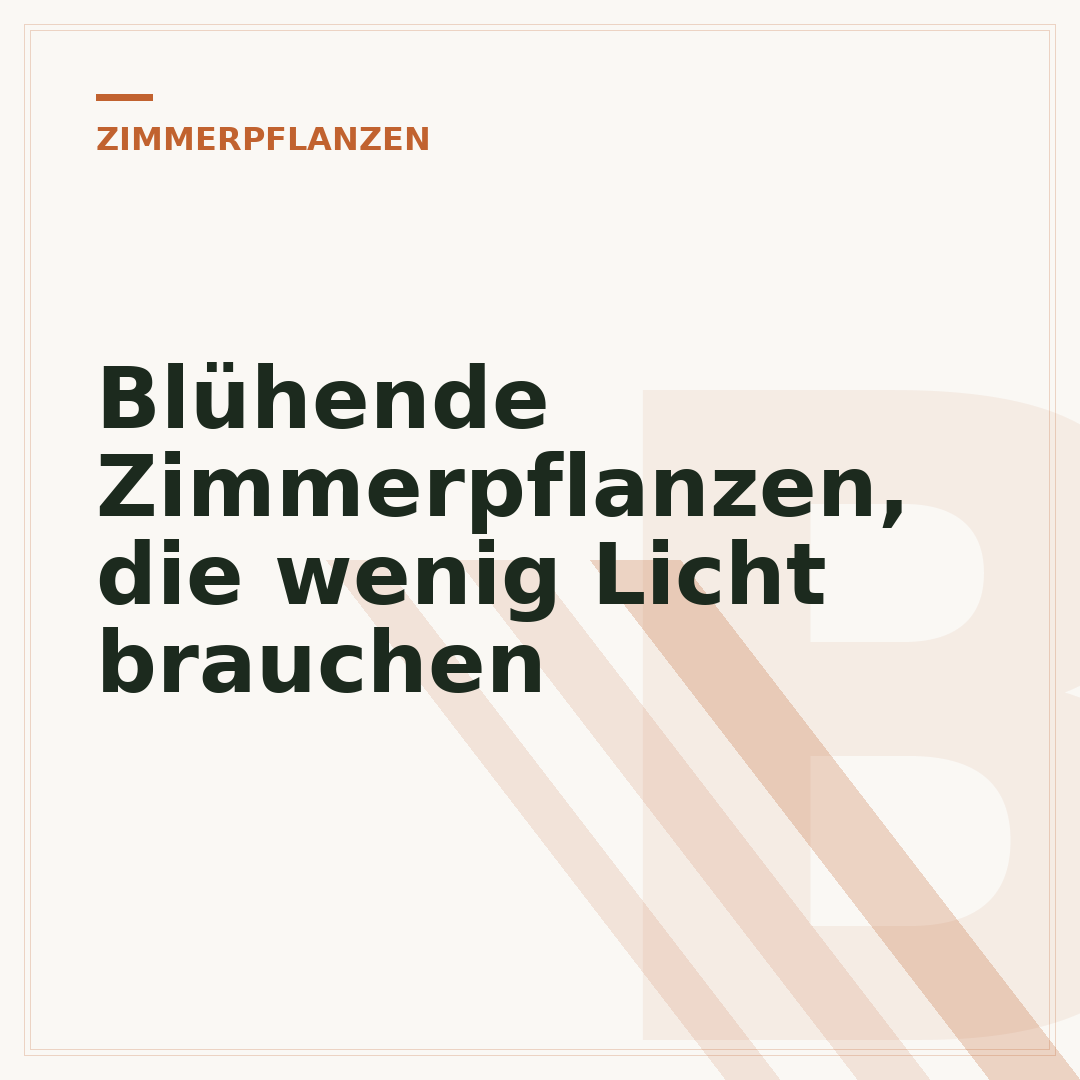 Blühende Zimmerpflanzen, die wenig Licht brauchen