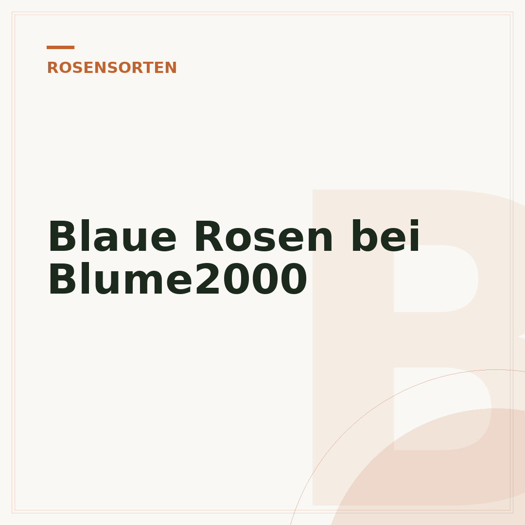 Blaue Rosen bei Blume2000