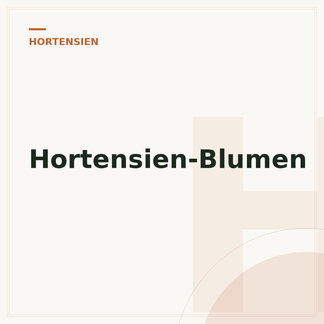 Hortensien-Blumen