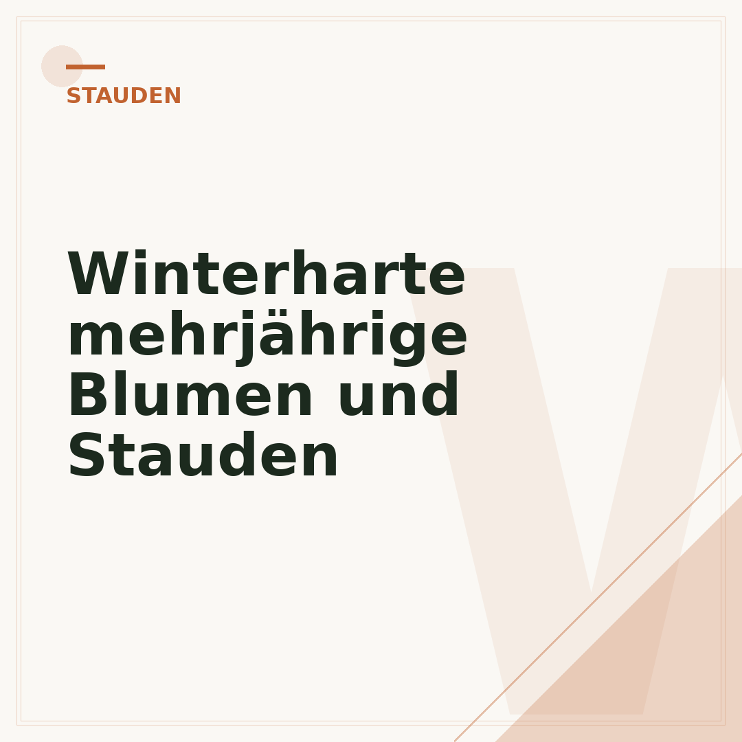 Winterharte mehrjährige Blumen und Stauden