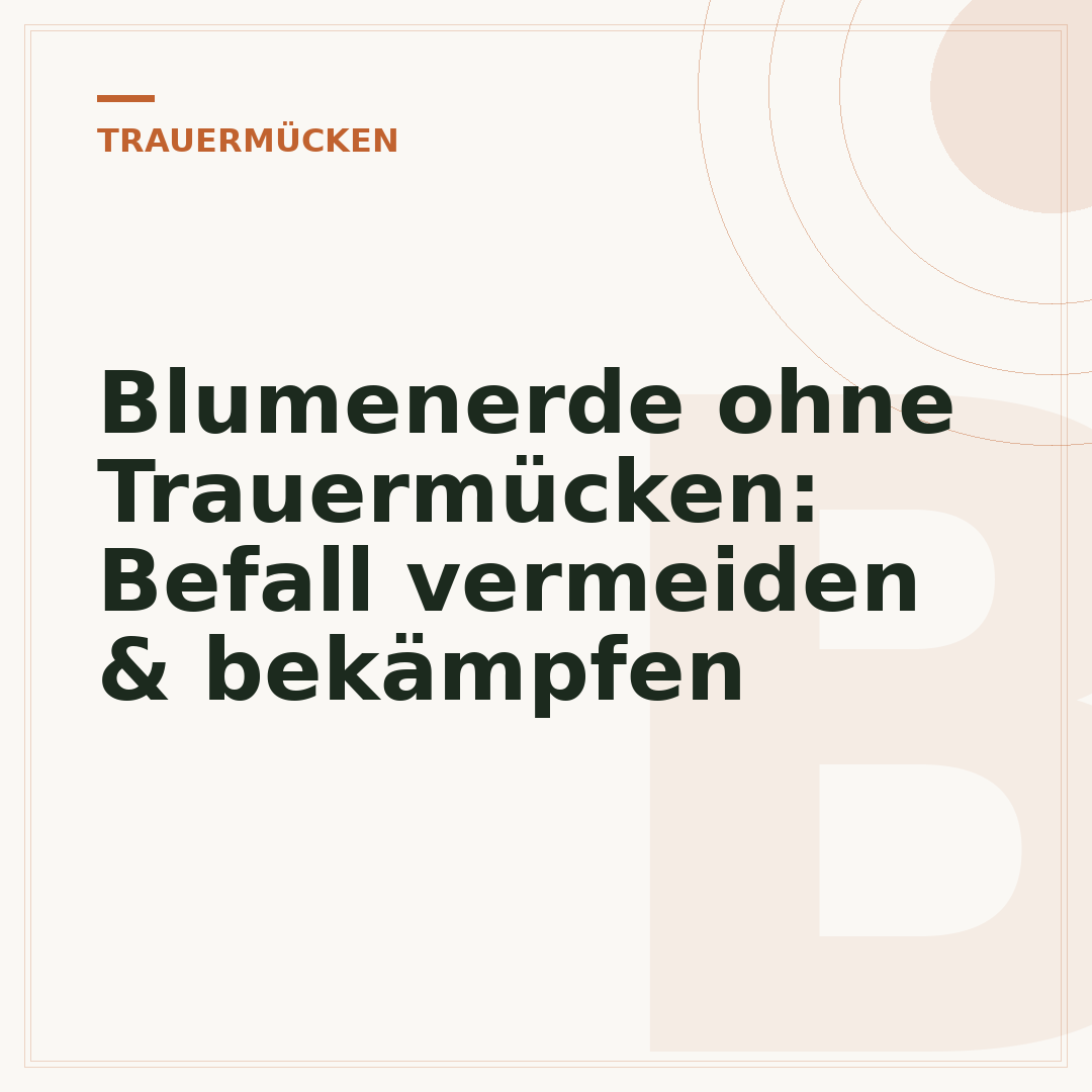 Blumenerde ohne Trauermücken: Befall vermeiden & bekämpfen
