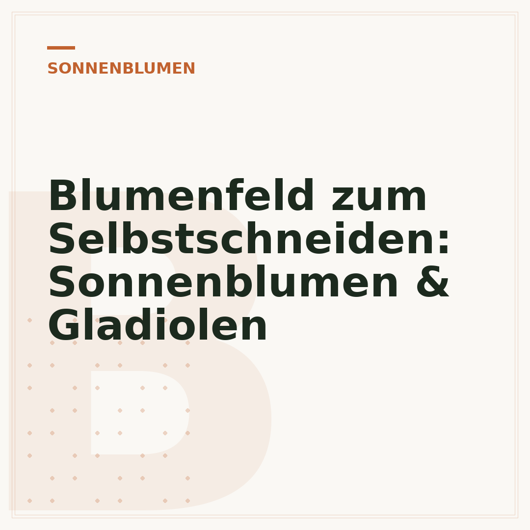 Blumenfeld zum Selbstschneiden: Sonnenblumen & Gladiolen