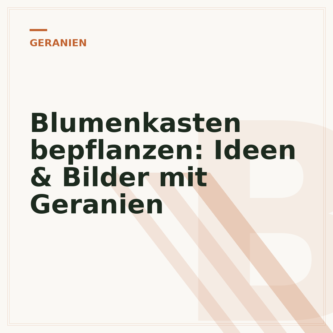 Blumenkasten bepflanzen: Ideen & Bilder mit Geranien