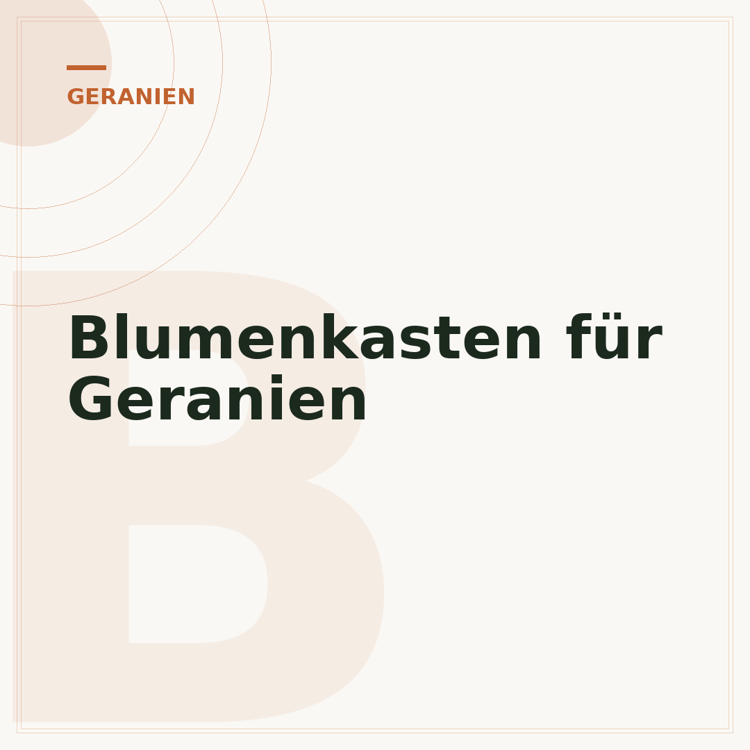 Blumenkasten für Geranien