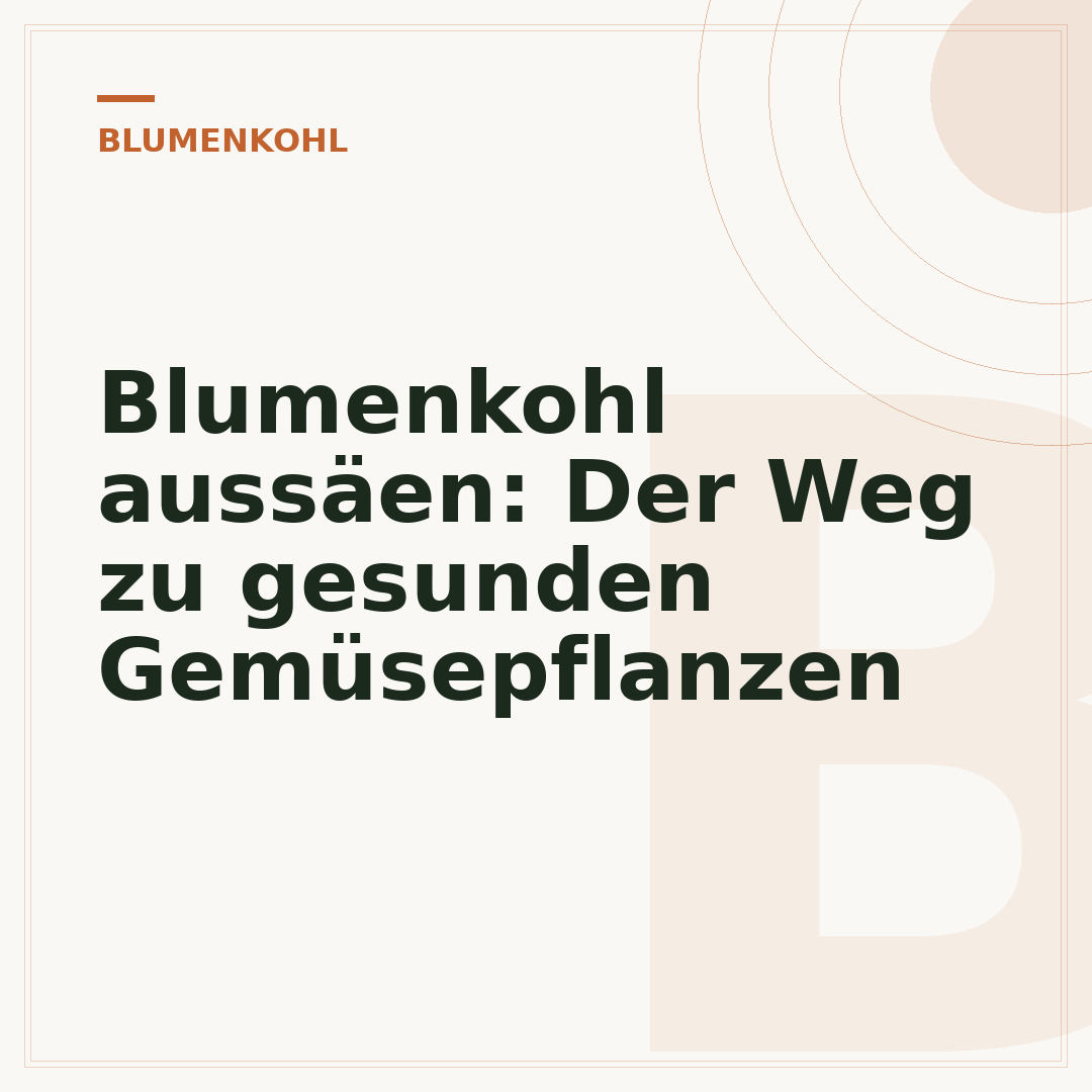 Blumenkohl aussäen: Der Weg zu gesunden Gemüsepflanzen