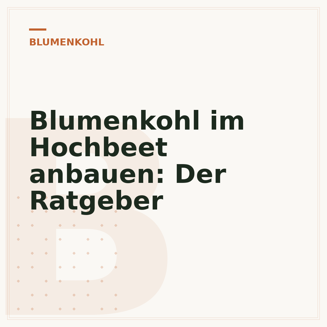Blumenkohl im Hochbeet anbauen: Der Ratgeber
