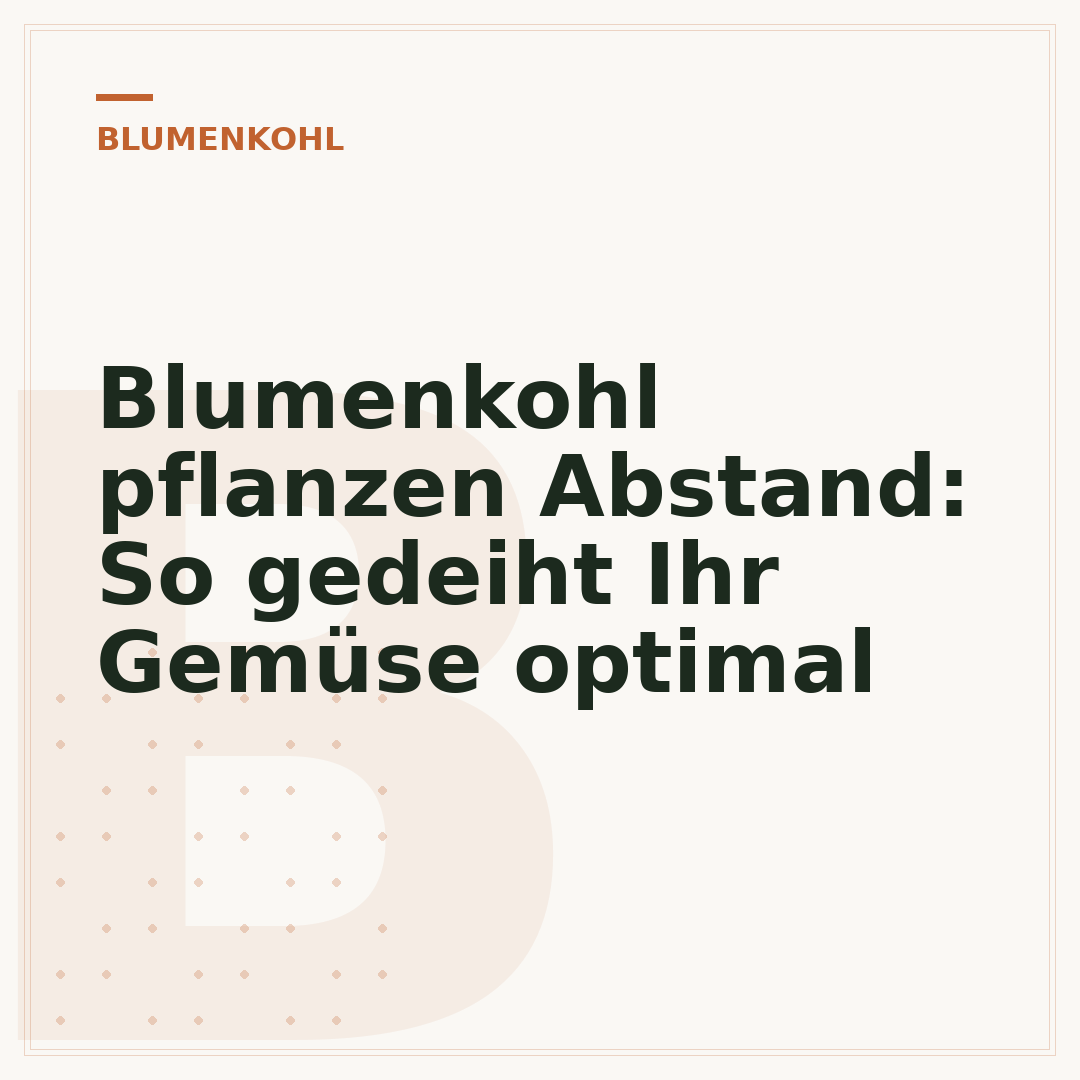 Blumenkohl pflanzen Abstand: So gedeiht Ihr Gemüse optimal