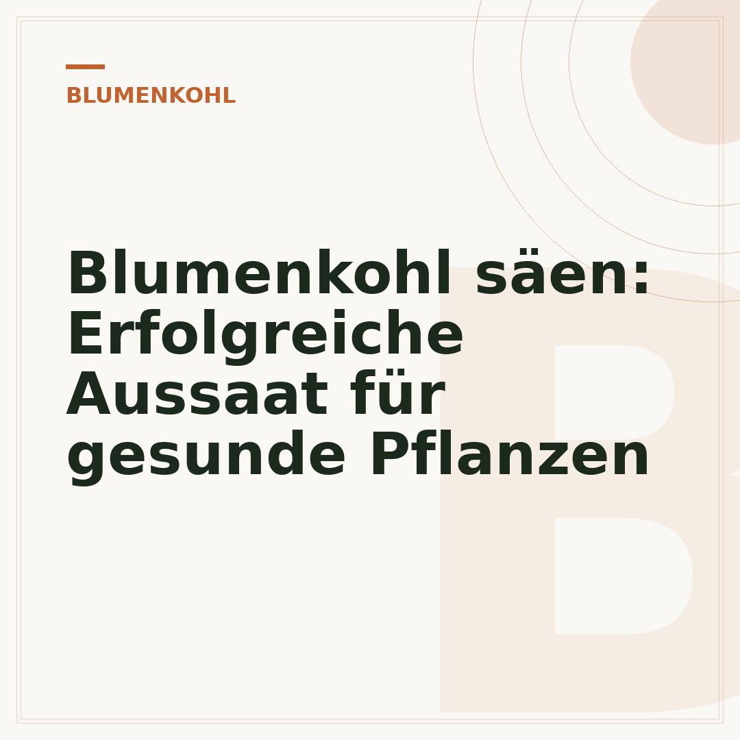 Blumenkohl säen: Erfolgreiche Aussaat für gesunde Pflanzen