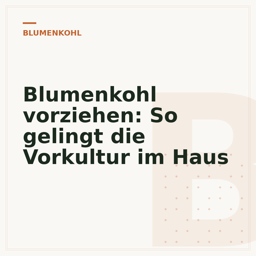 Blumenkohl vorziehen: So gelingt die Vorkultur im Haus