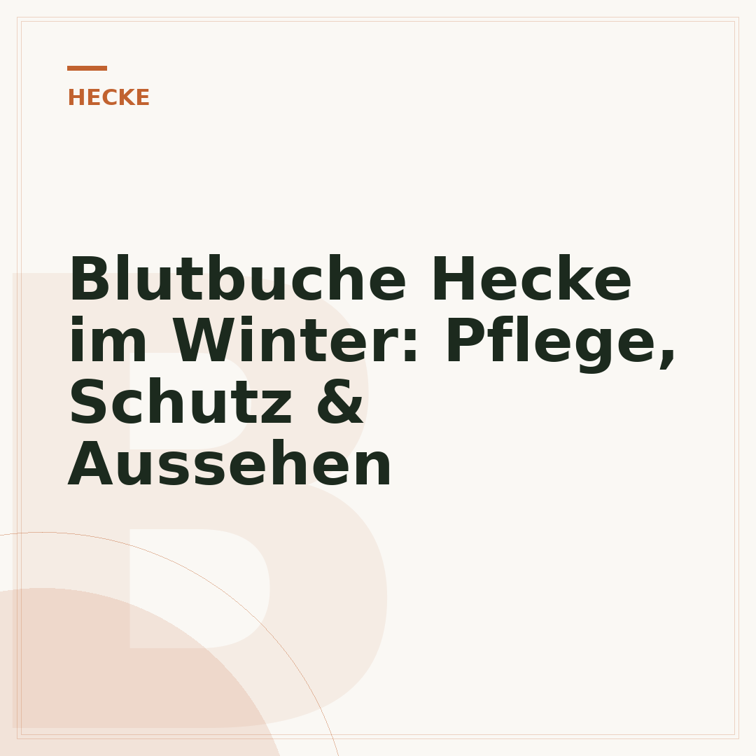 Blutbuche Hecke im Winter: Pflege, Schutz & Aussehen