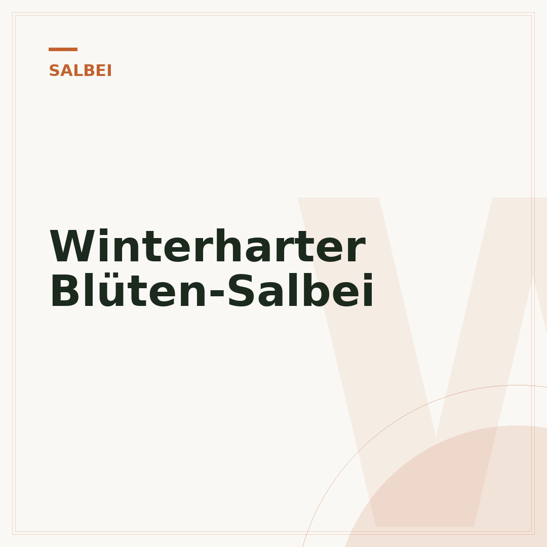 Winterharter Blüten-Salbei