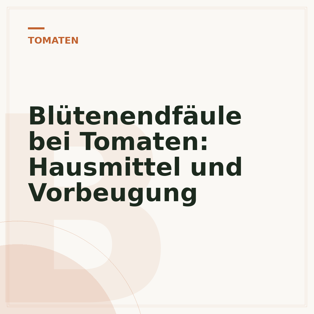 Blütenendfäule bei Tomaten: Hausmittel und Vorbeugung