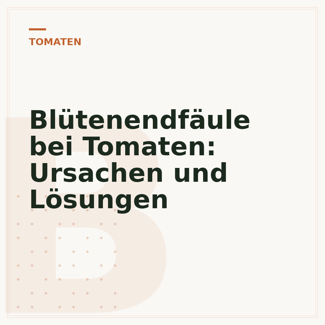 Blütenendfäule bei Tomaten: Ursachen und Lösungen