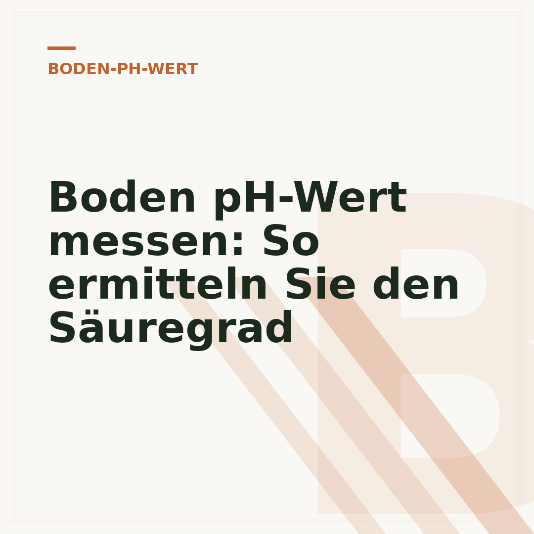 Boden pH-Wert messen: So ermitteln Sie den Säuregrad