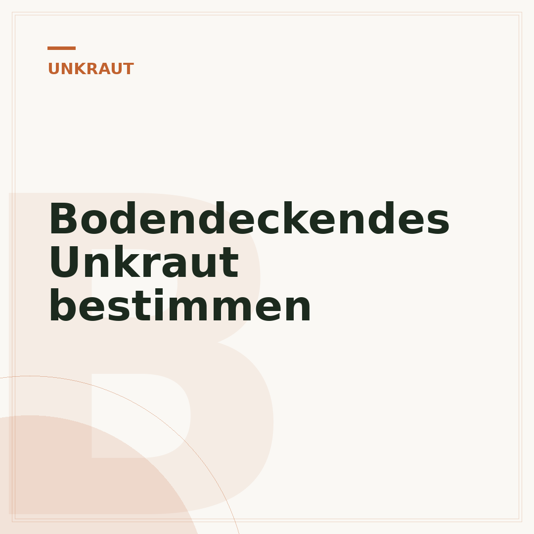 Bodendeckendes Unkraut bestimmen