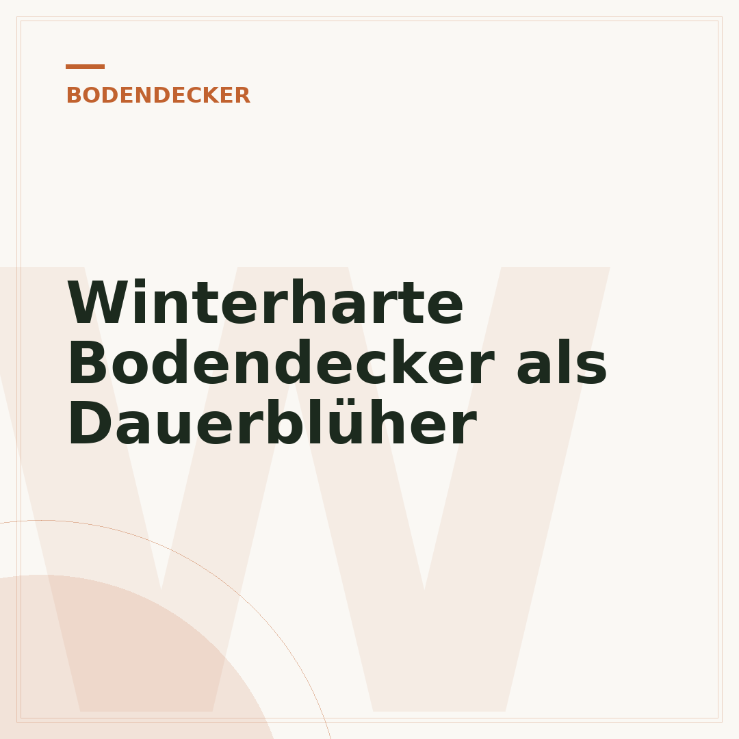 Winterharte Bodendecker als Dauerblüher