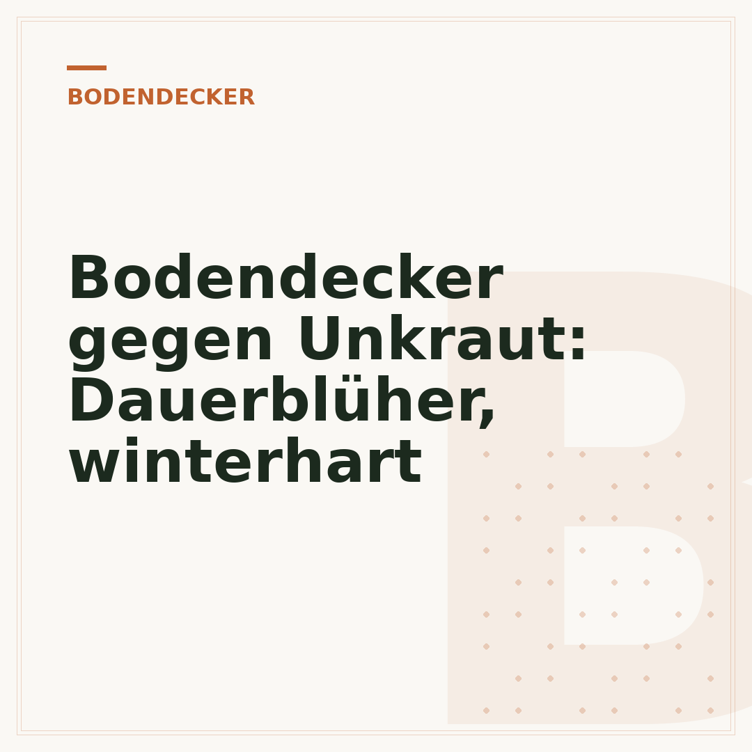 Bodendecker gegen Unkraut: Dauerblüher, winterhart