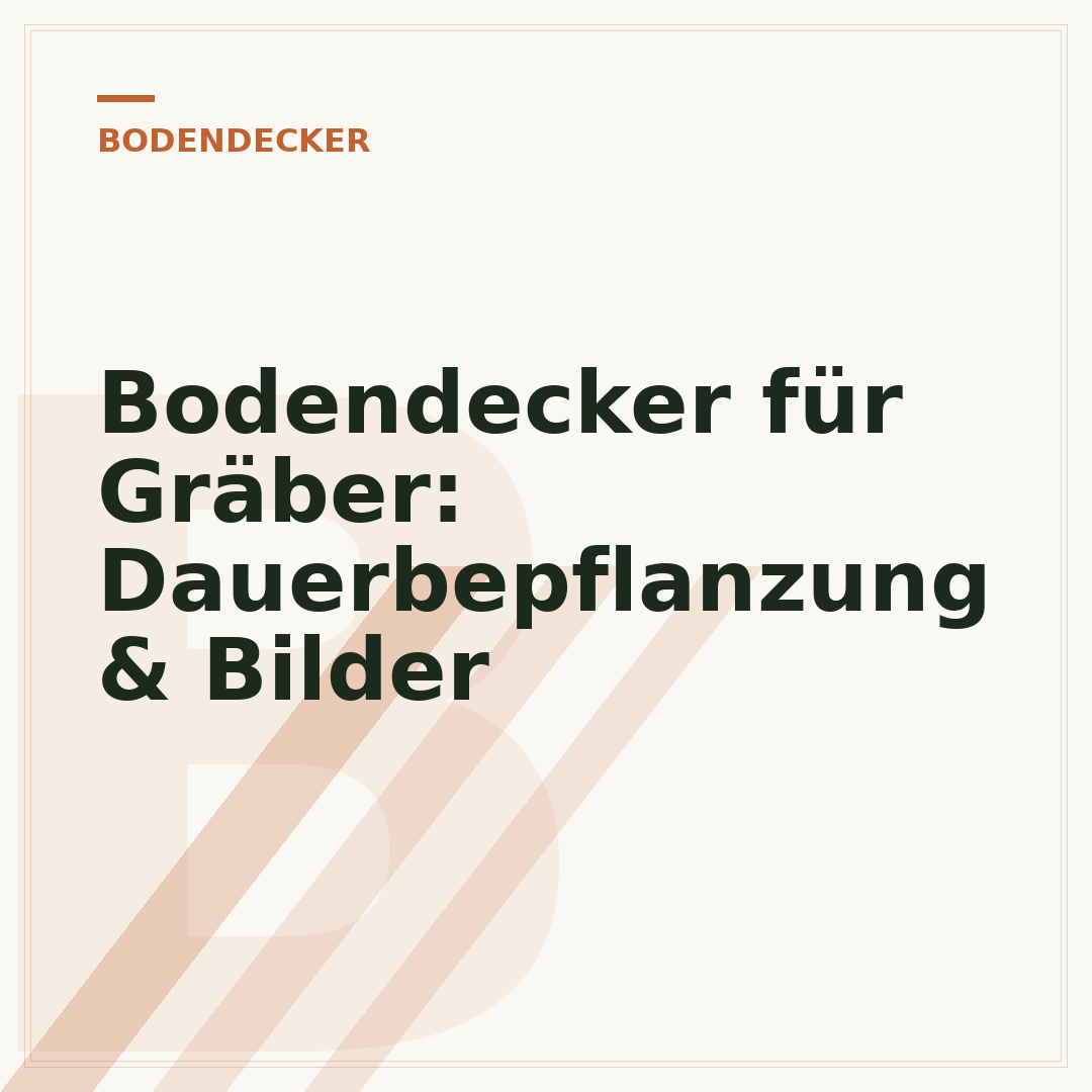 Bodendecker für Gräber: Dauerbepflanzung & Bilder