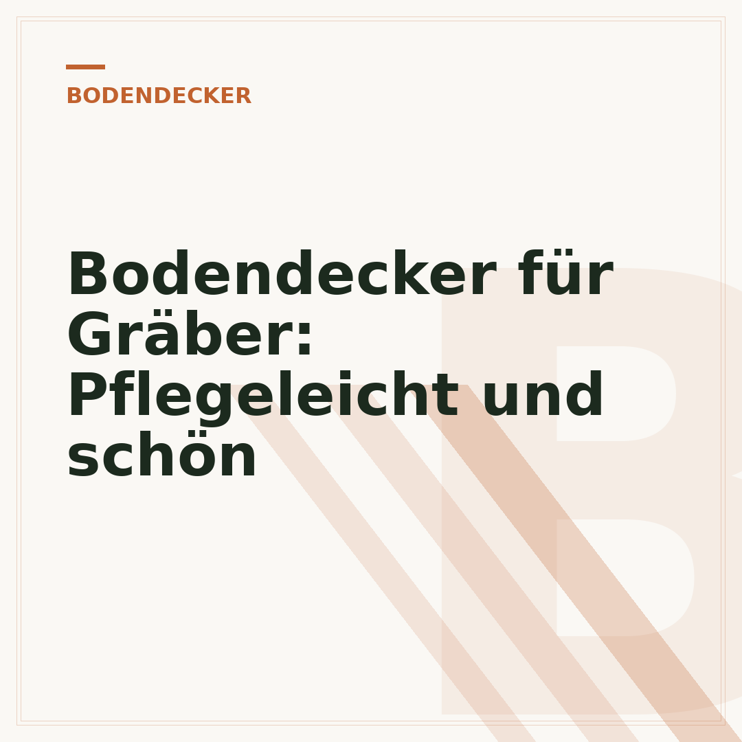 Bodendecker für Gräber: Pflegeleicht und schön