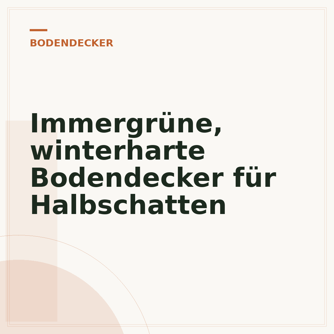 Immergrüne, winterharte Bodendecker für Halbschatten