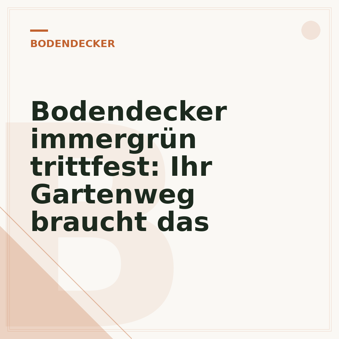 Bodendecker immergrün trittfest: Ihr Gartenweg braucht das