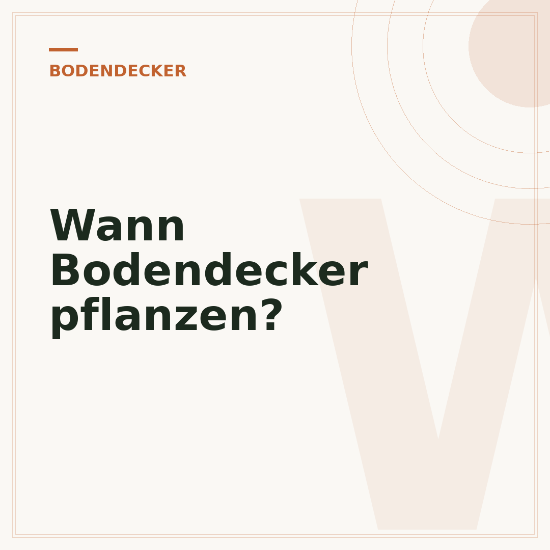 Wann Bodendecker pflanzen?