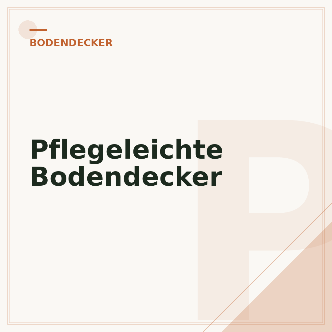 Pflegeleichte Bodendecker