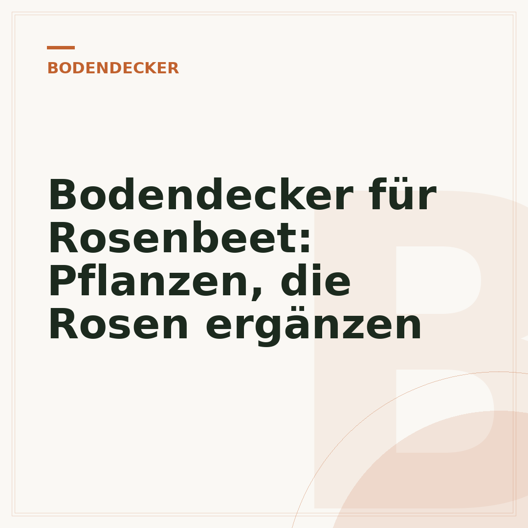 Bodendecker für Rosenbeet: Pflanzen, die Rosen ergänzen