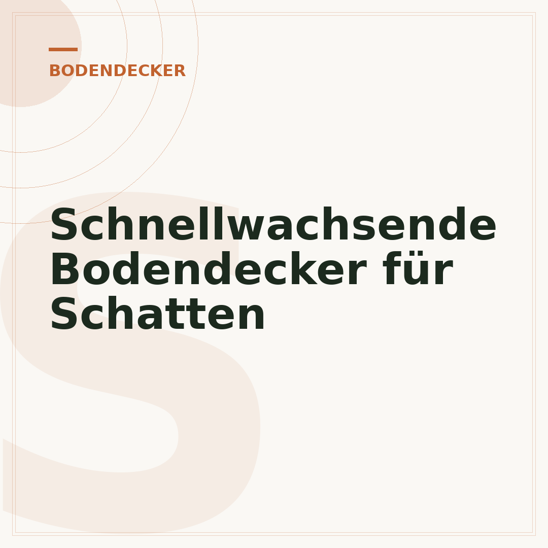 Schnellwachsende Bodendecker für Schatten