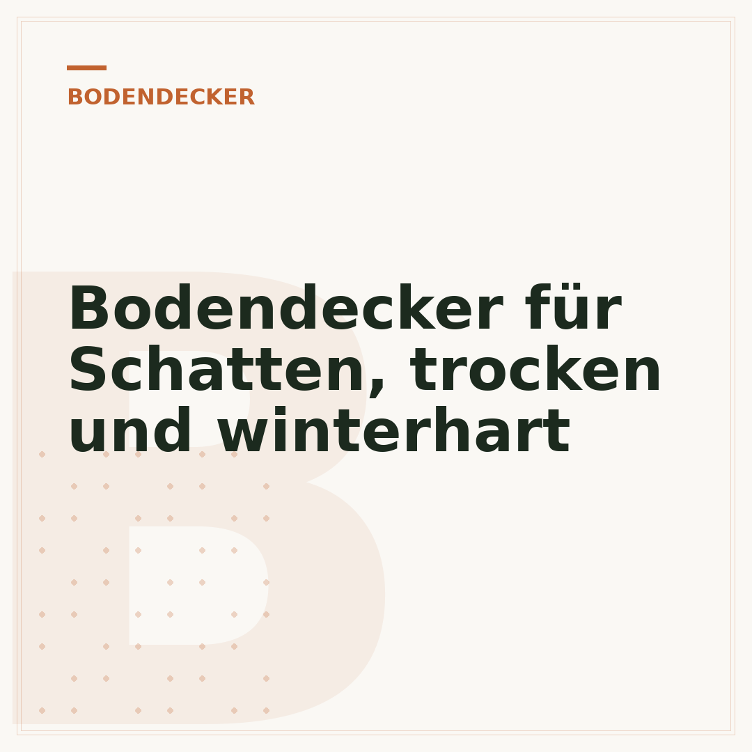 Bodendecker für Schatten, trocken und winterhart