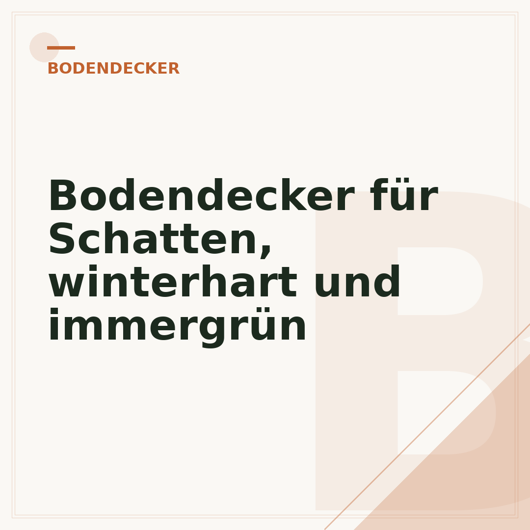 Bodendecker für Schatten, winterhart und immergrün