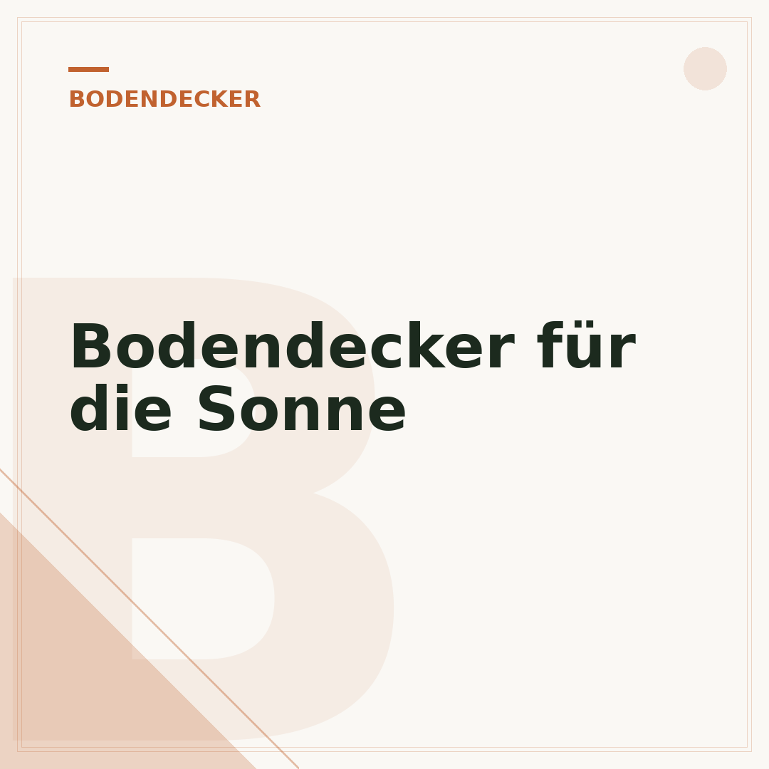 Bodendecker für die Sonne
