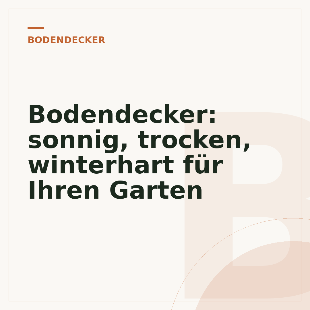 Bodendecker: sonnig, trocken, winterhart für Ihren Garten