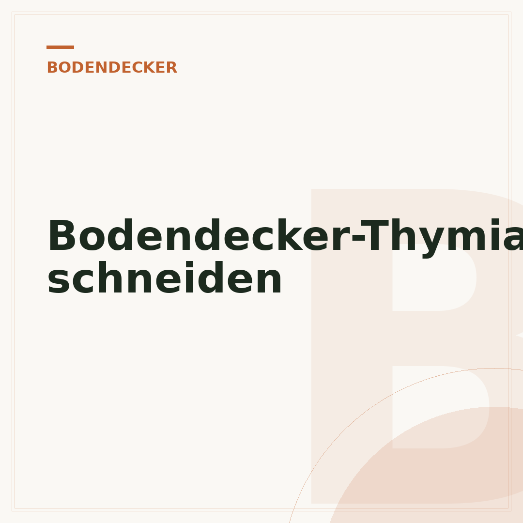 Bodendecker-Thymian schneiden