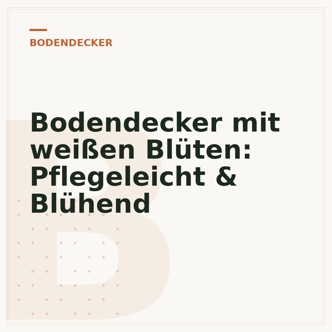 Bodendecker mit weißen Blüten: Pflegeleicht & Blühend