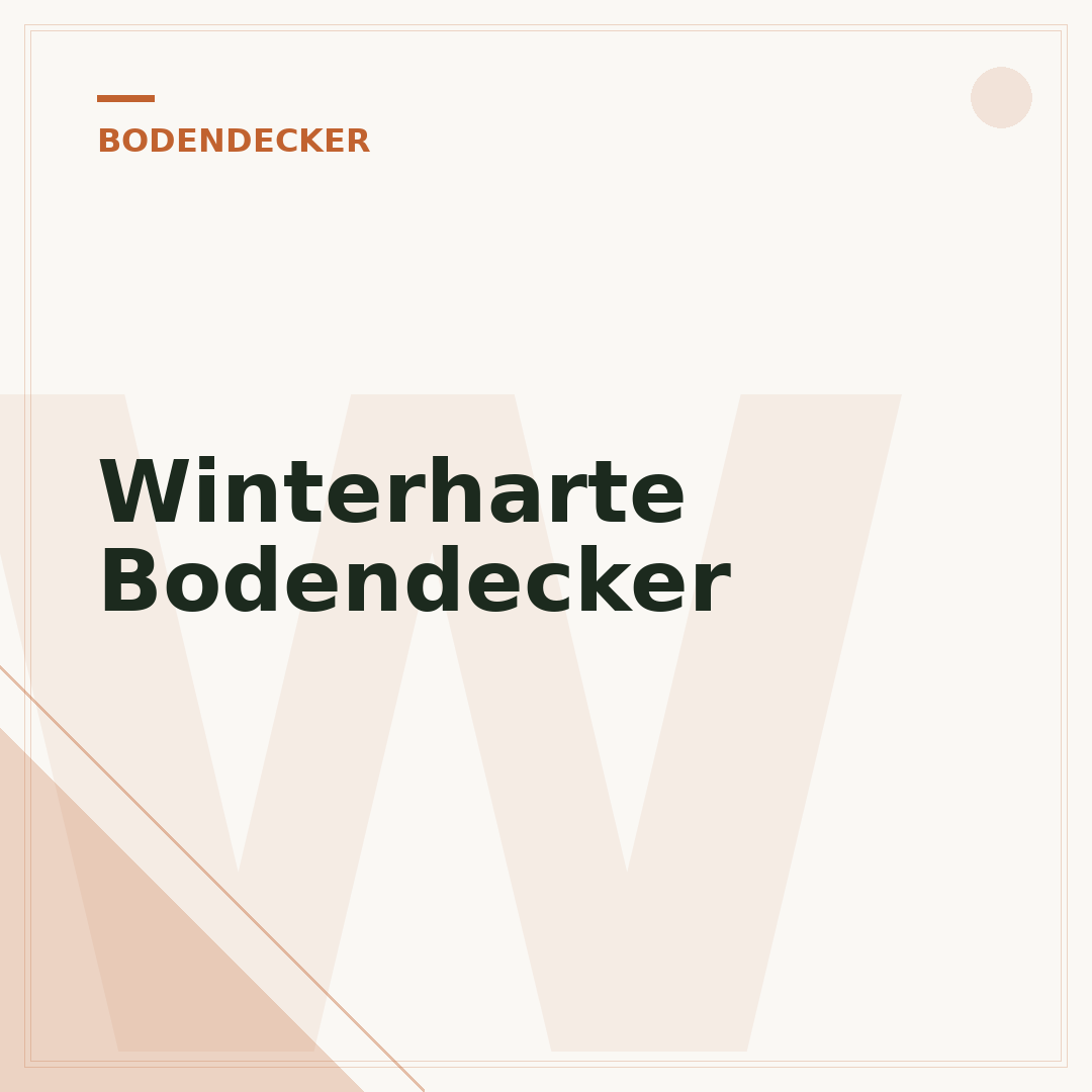 Winterharte Bodendecker