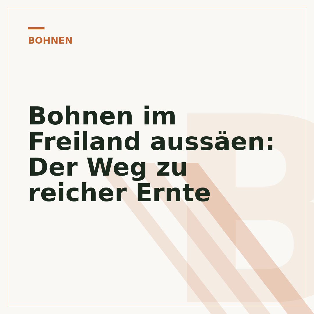 Bohnen im Freiland aussäen: Der Weg zu reicher Ernte